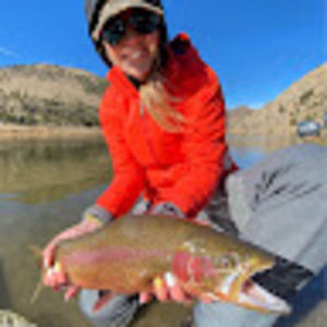 Meet your Posher, Daisy